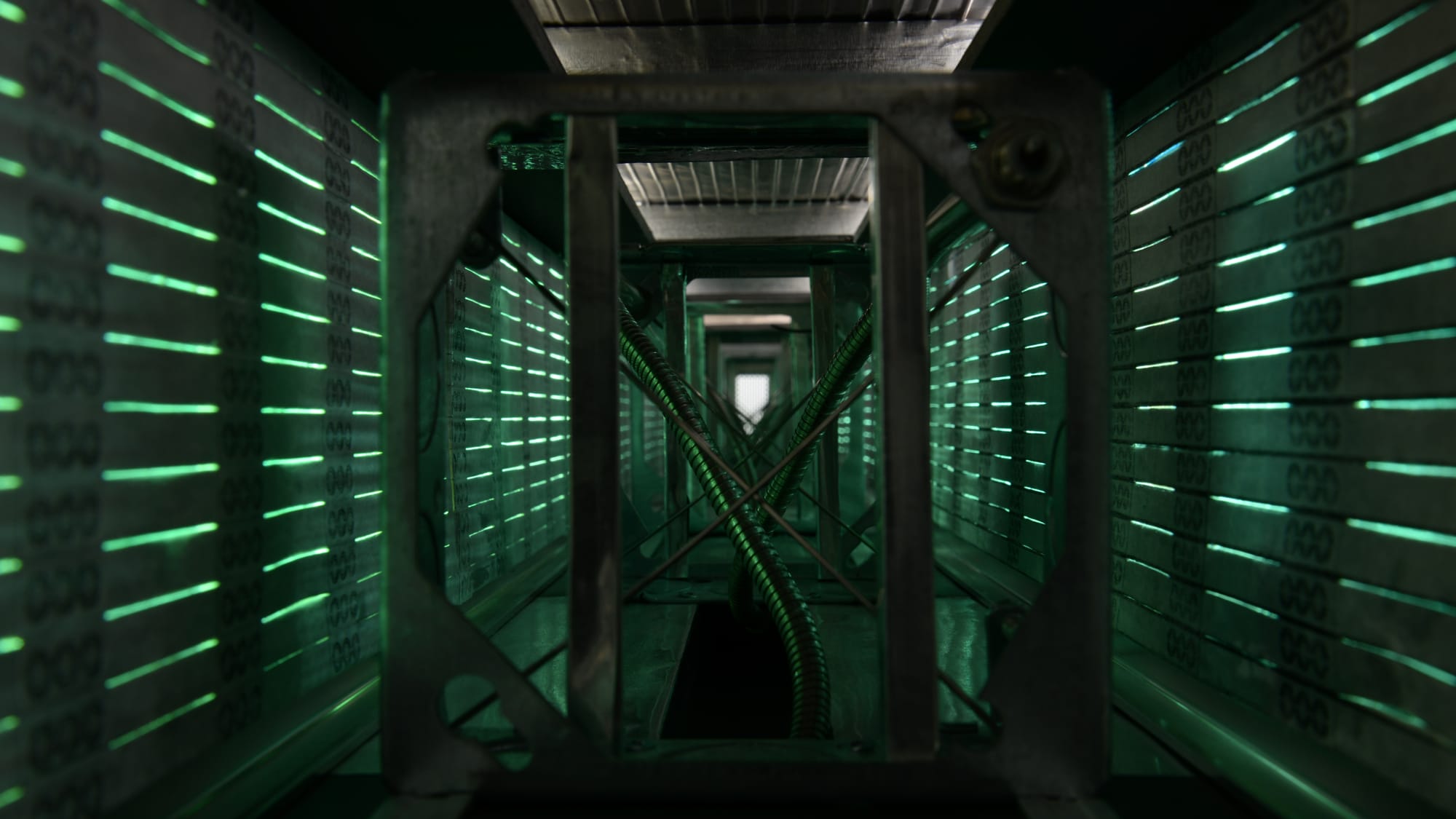 Data centre storage racks and cables bathed in green light.